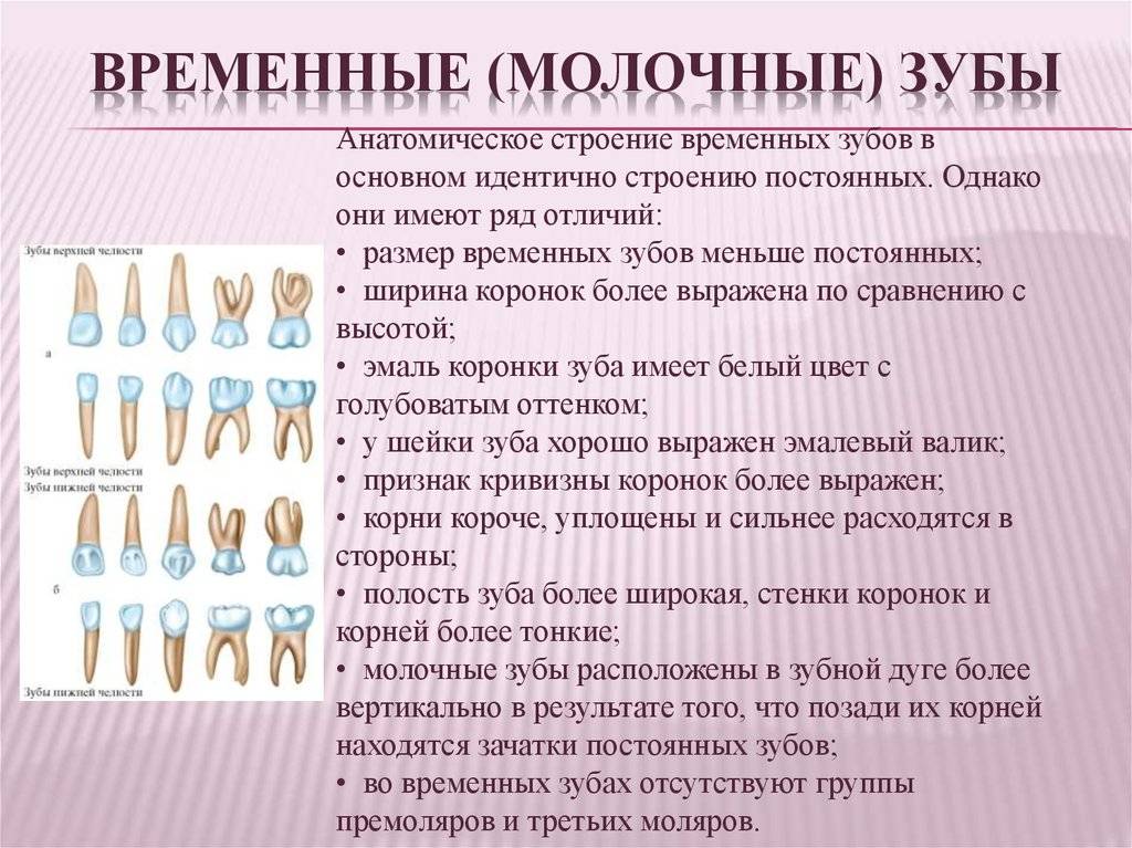Кариес молочных зубов: лечение кариеса молочных зубов у детей в москве - dental fantasy
