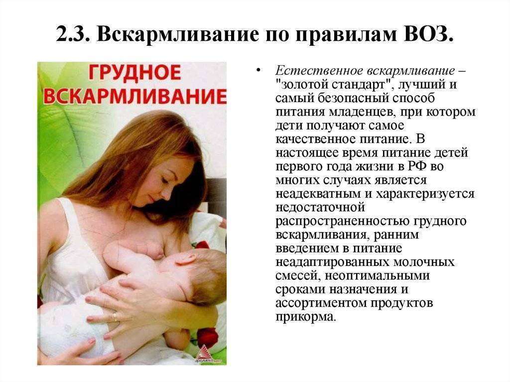 Все о грудном вскармливании: советы молодой маме - новости yellmed.ru