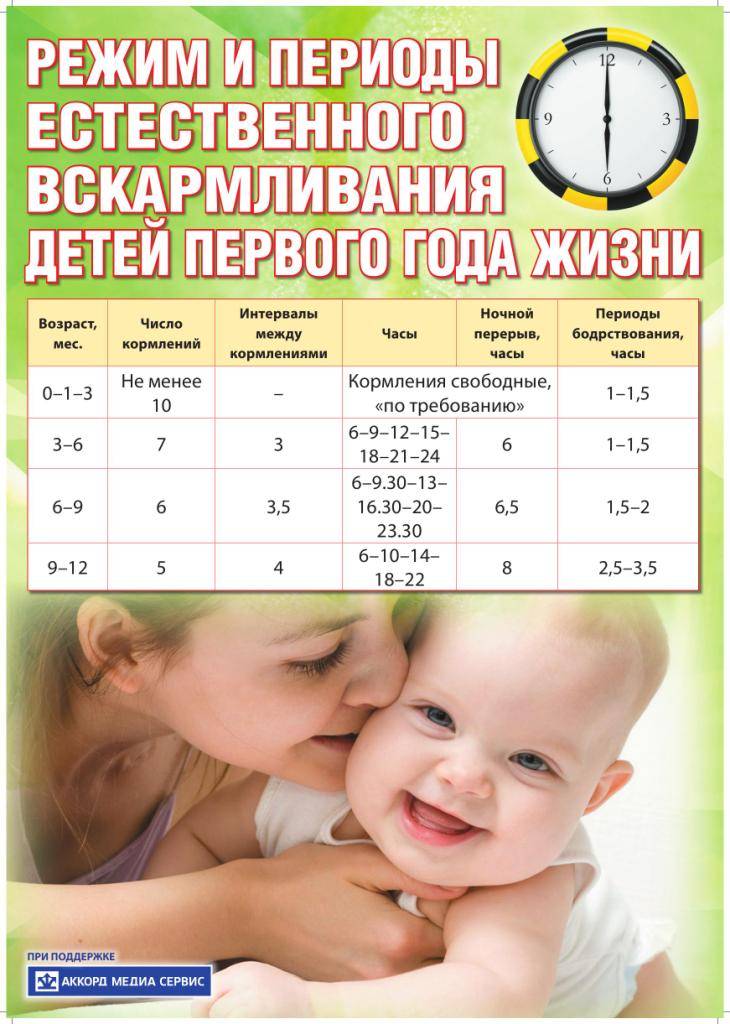Режим дня ребенка в 2 месяца: примерный распорядок на грудном и искусственном вскармливании