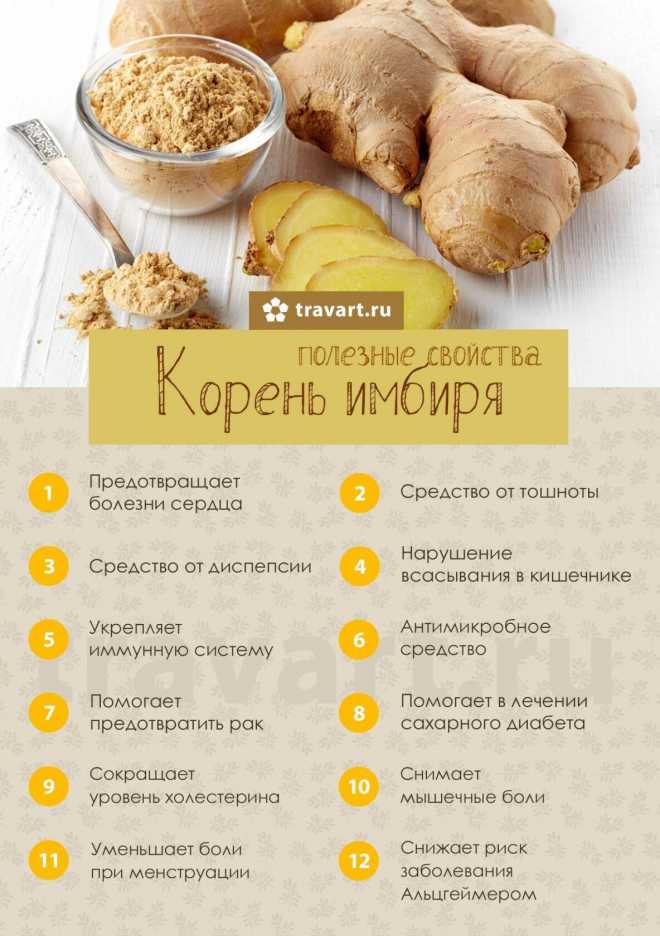 Польза и вред имбиря: 8 научных фактов :: здоровье :: рбк стиль