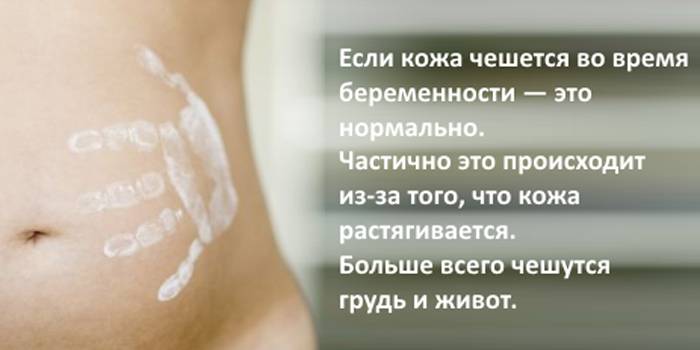 Сколько узи во время беременности необходимо?