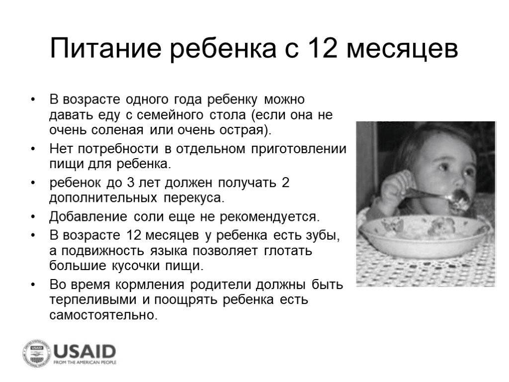 Что должны давать на ребенка. Питание ребёнка в 12 месяцев. Питание ребенка в год. Питание 12 месячного ребенка. Питание ребёнка в 1 год.