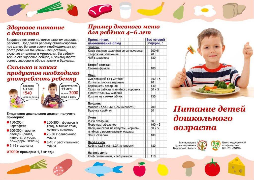 Питание ребенка от 1 до 3 лет: меню на день и основные продукты. наш ребенок.