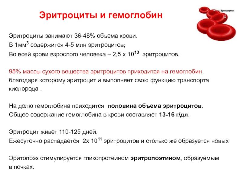 Ревматологическое обследование. анализ крови на уровень мочевой кислоты, ревматоидный фактор и пр.