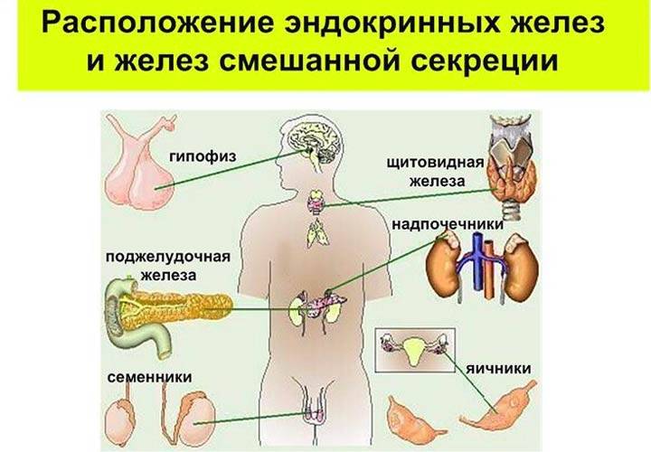 Лечение психосоматических заболеваний: что такое психосоматика, какие расстройства относятся к психосоматическим, почему возникают и как помочь себе в их лечении.
