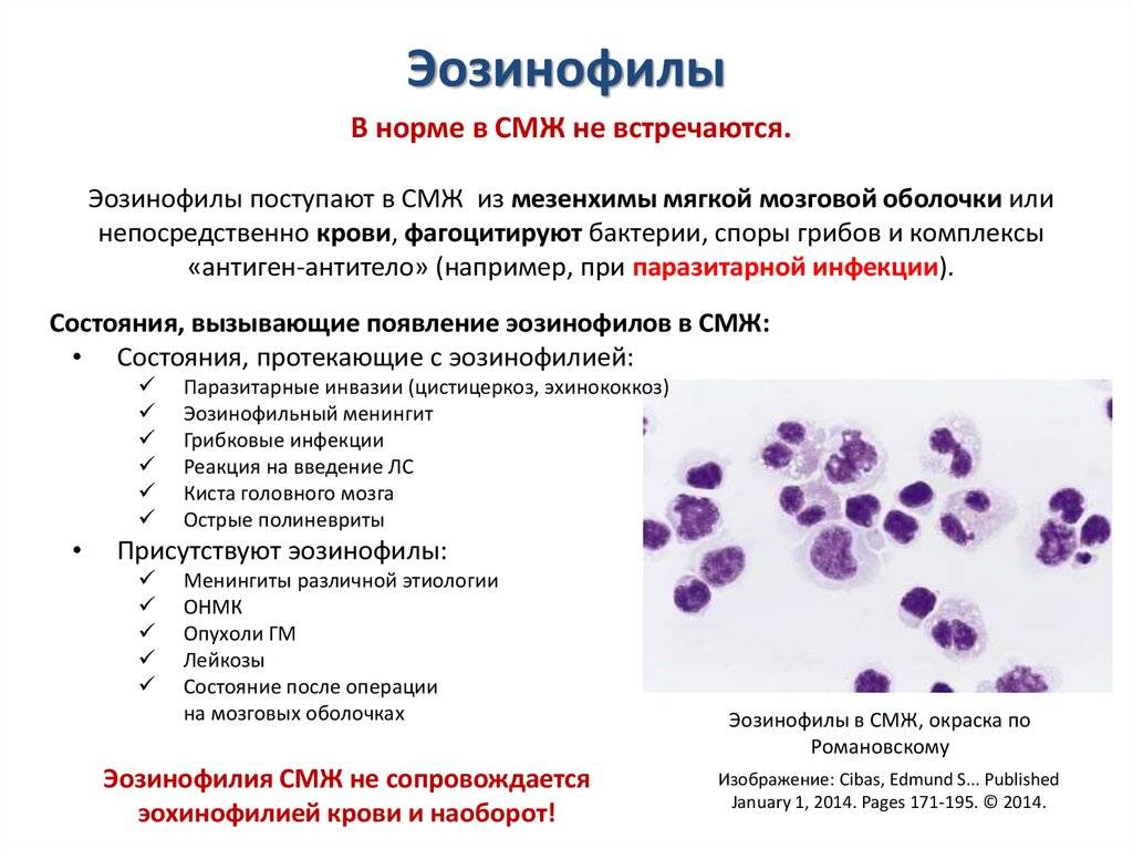 Норма эозинофилов в крови у детей