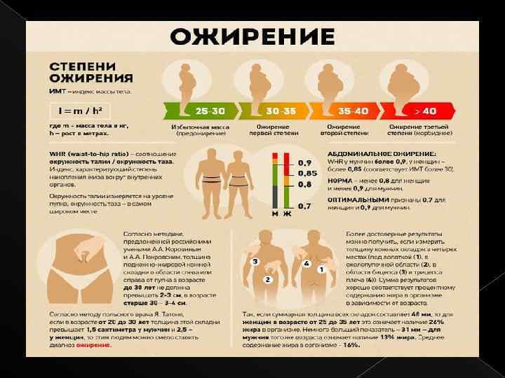 Ожирение 1 степени фото