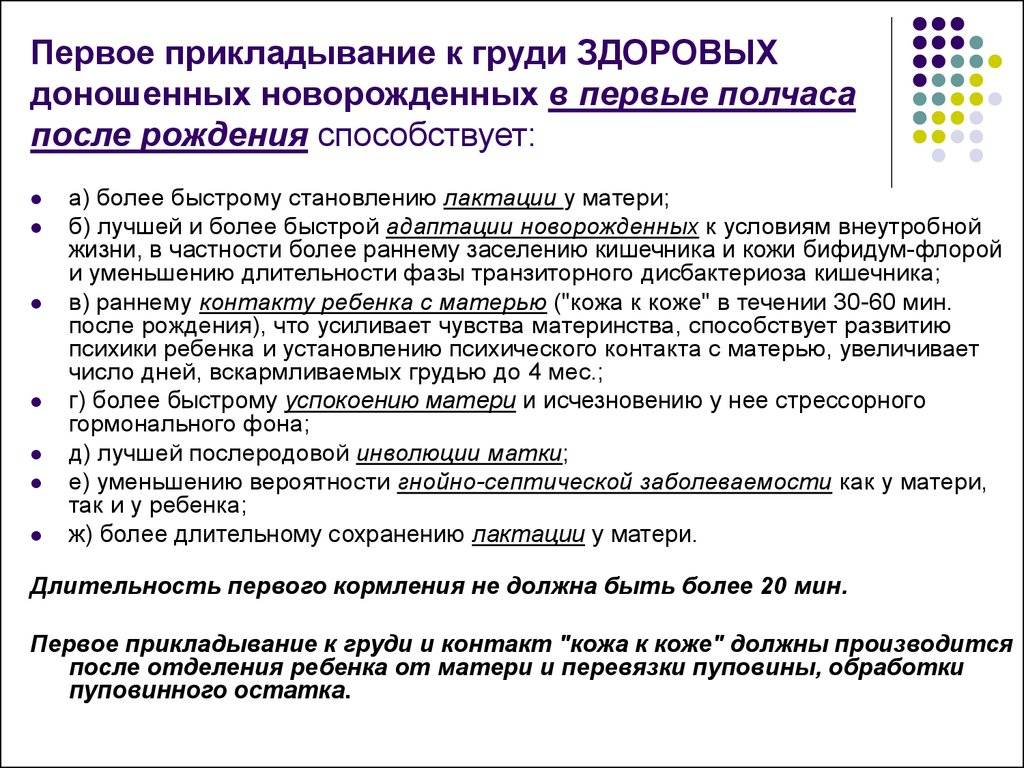 Техника грудного вскармливания. основные моменты кормления грудью
