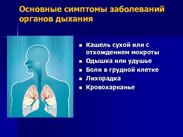 Бронхиальная астма у детей: симптомы и лечение – напоправку – напоправку