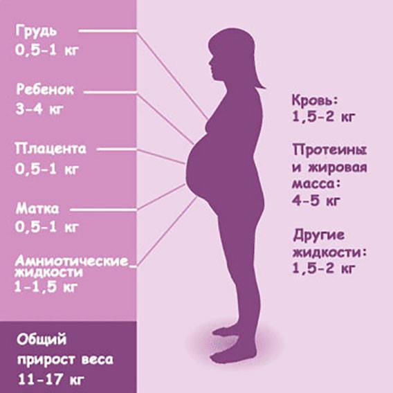Узи при беременности. узи плода. выявление возможных пороков развития плода