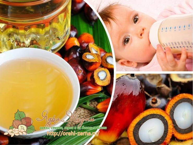 Пальмовое масло в детских смесях: список с содержанием и без
