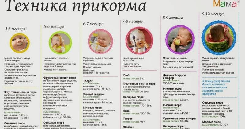 Cо скольки месяцев можно начинать прикармливать ребенка, таблица введения прикорма в зависимости от типа питания малыша