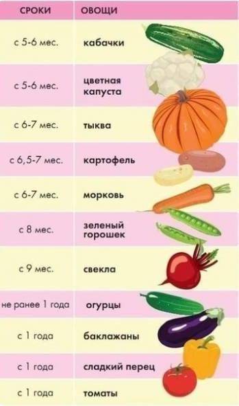 Чем полезна морковь для грудничка. с какого возраста можно вводить в прикорм морковное пюре для грудничков? как правильно подготовить морковь и сделать из нее пюре