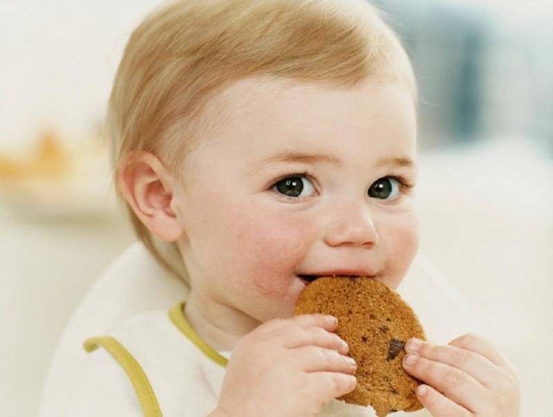 Почему ребенок мало ест?