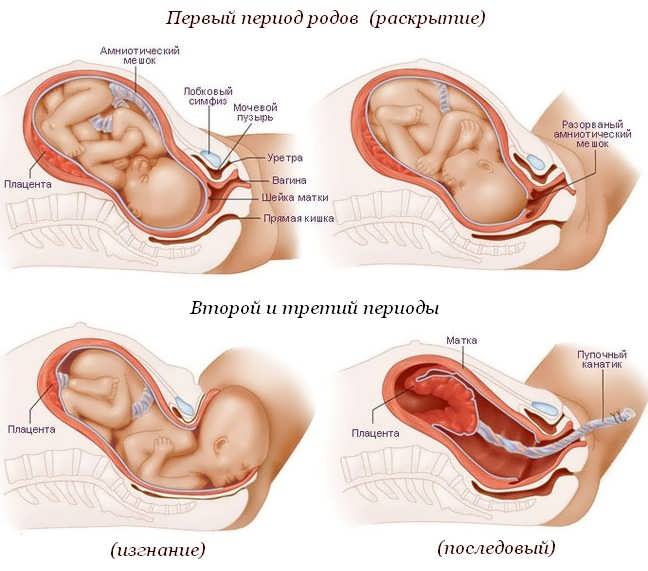 39 недель беременности: когда начнутся роды, особенности первых родов