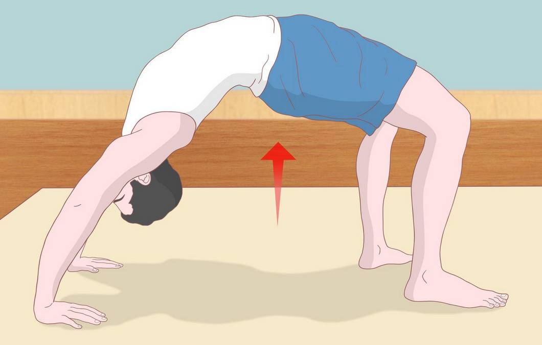 Мостик гимнастический, как правильно делать упражнение мост, польза и вред