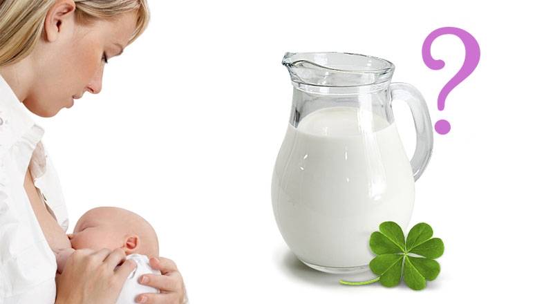 Молоко при гастрите: польза или вред?