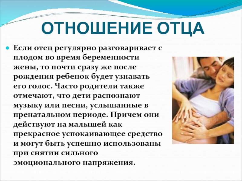Беременность и муж. для мужей: инструкция по обращению с беременной женой