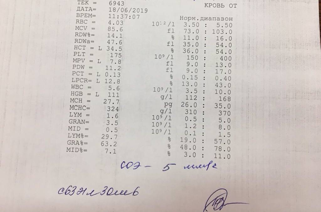 Wbc анализ крови у детей