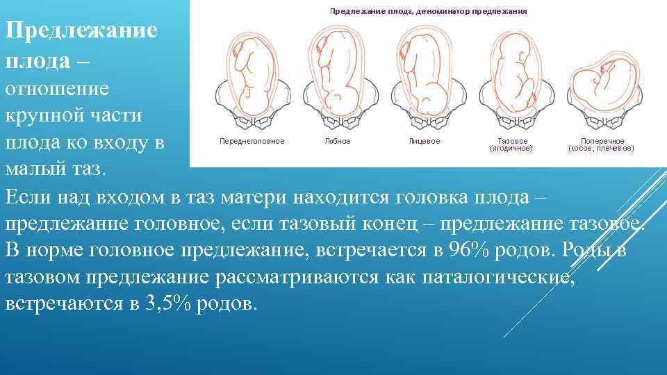 Диагноз: низкое предлежание плода. что это значит?