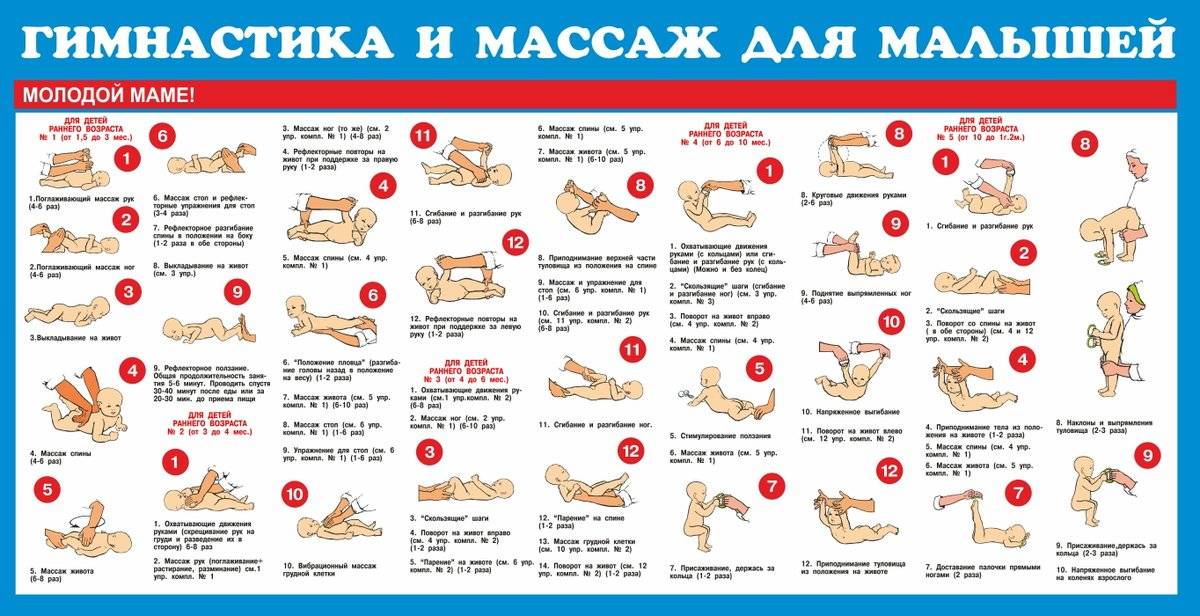 Общие правила и техника проведения гимнастики для грудничков в 2 месяца