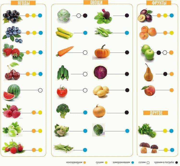 Овощные блюда для детей 8-9-10 месяцев.
