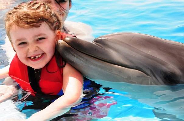 Дельфинотерапия: лечение дельфинами детей при дци и аутизме, отзывы
