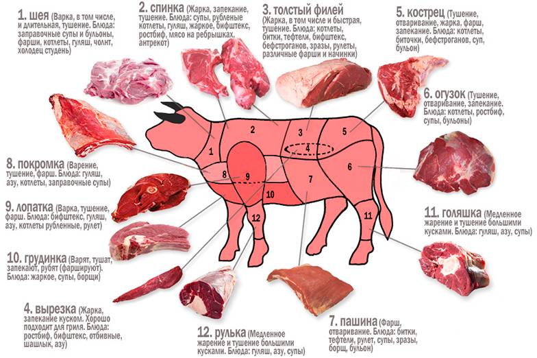 Мясо при грудном вскармливании: какое выбрать