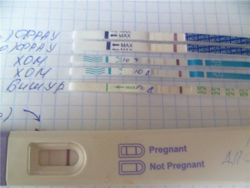 Признаки беременности на ранних сроках: как и когда можно определить зачатие