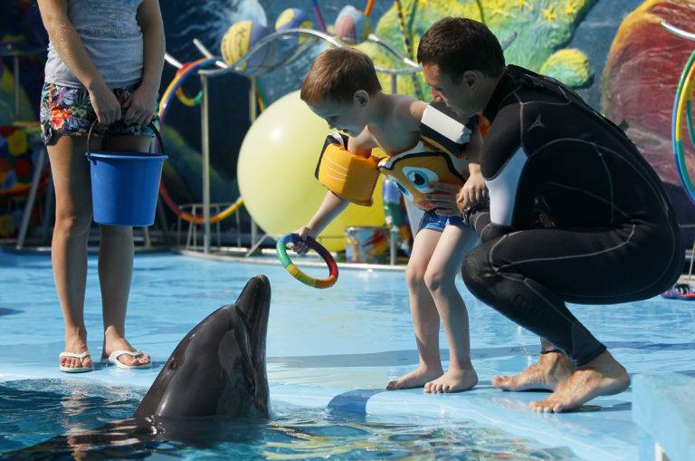 Терапия дельфинами для детей с аутизмом