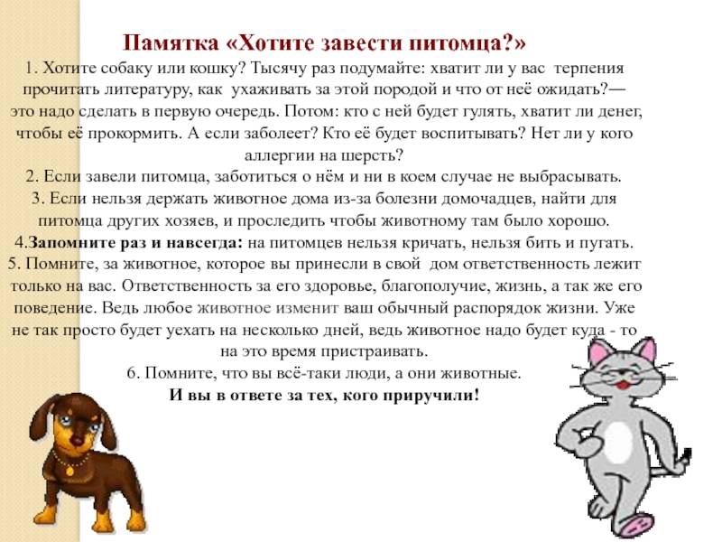 Домашние животные для детей (37 фото): какого питомца завести в квартире и частном доме? польза и вред для малышей
