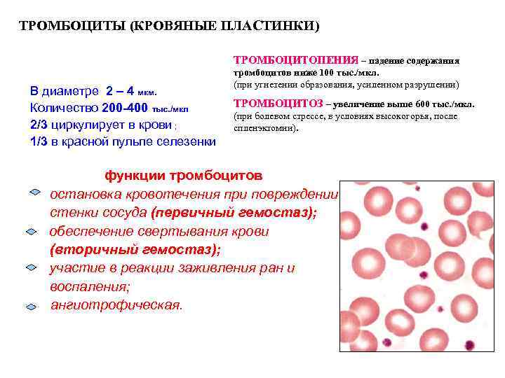 Агрегация тромбоцитов с адф