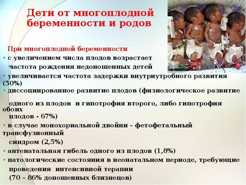 Эмбриологические аспекты эко/икси в нижнем новгороде | тонус мама