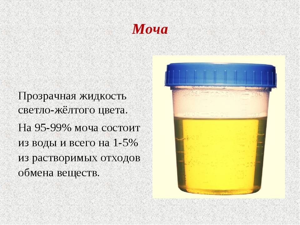 Моча после витаминов