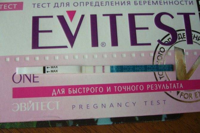 Какие бывают тесты на беременность и в чём принцип их работы