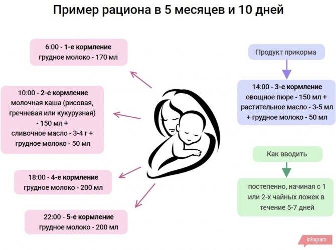 Схема прикорма ребенка по месяцам. докорм и прикорм
