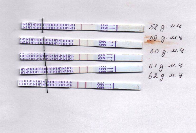 Можно ли делать тест на беременность во время месячных?