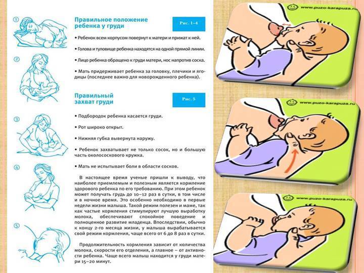 Можно ли кормить спящего младенца из бутылочки: обзор самых удобных поз для кормления ребенка и советы родителям stomatvrn.ru