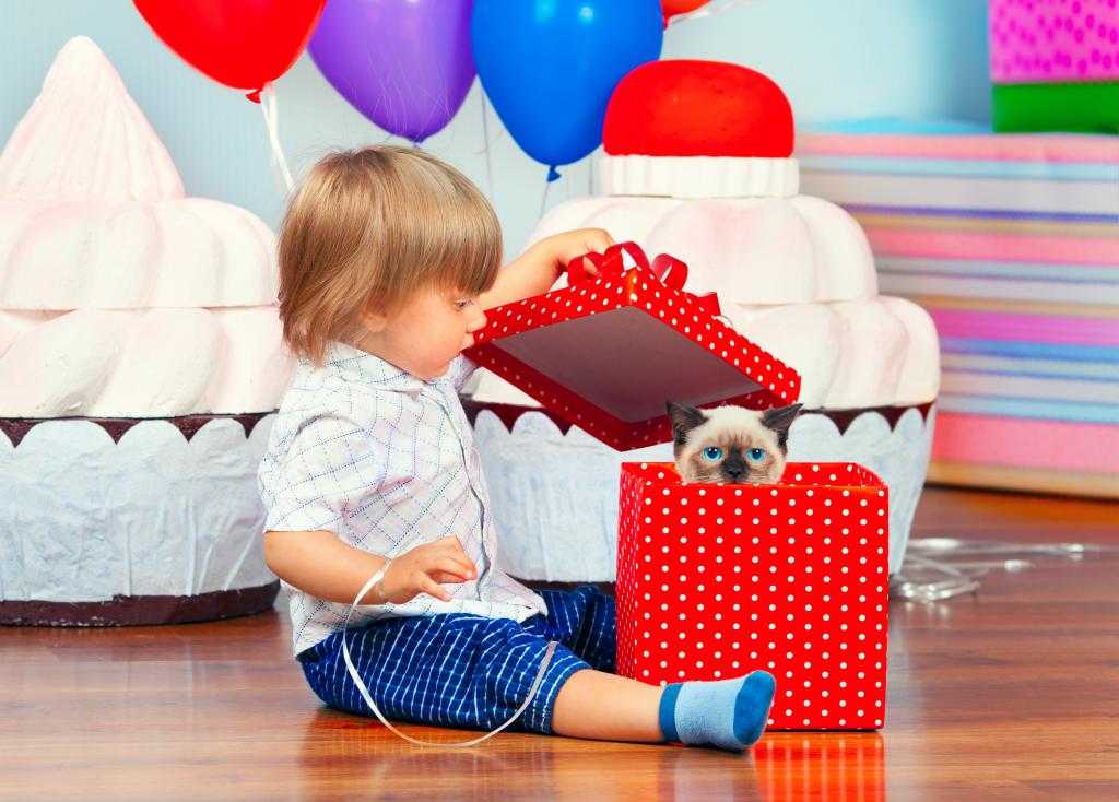 Что подарить ребенку на 4 года (32 фото): лучший подарок детям на день рождения своими руками, какую интересную книгу подарить