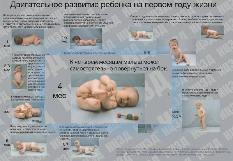 Вскармливание недоношенных детей: виды и сроки введения прикорма