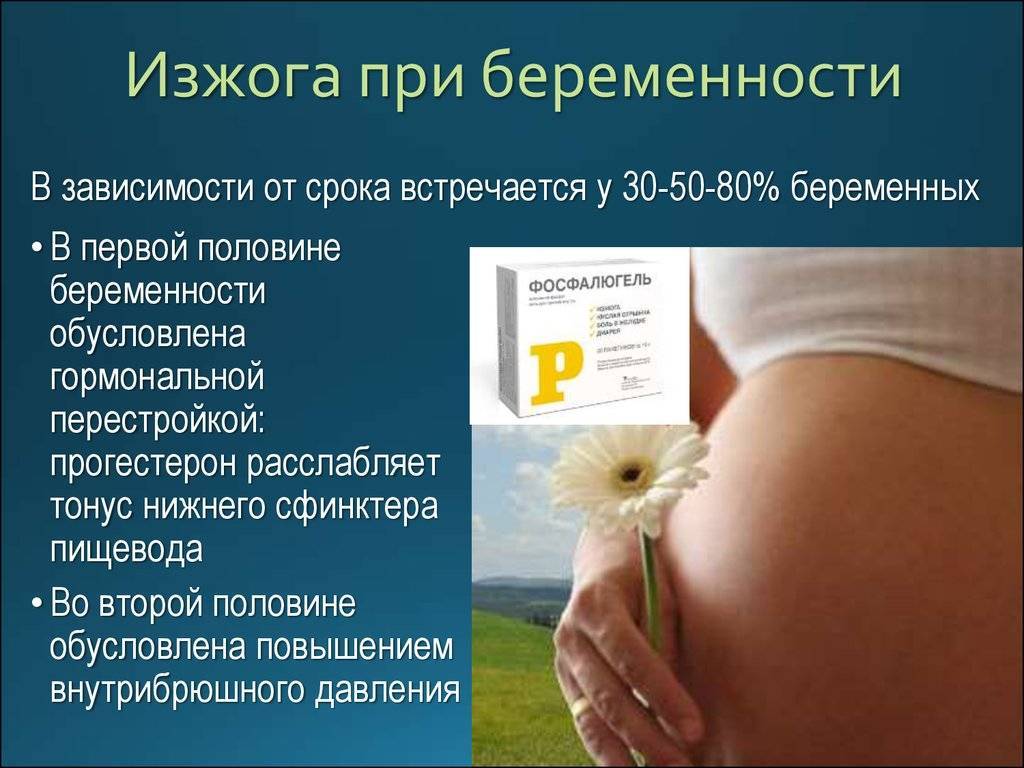 Фестал при беременности на ранних сроках можно | tsitologiya.su