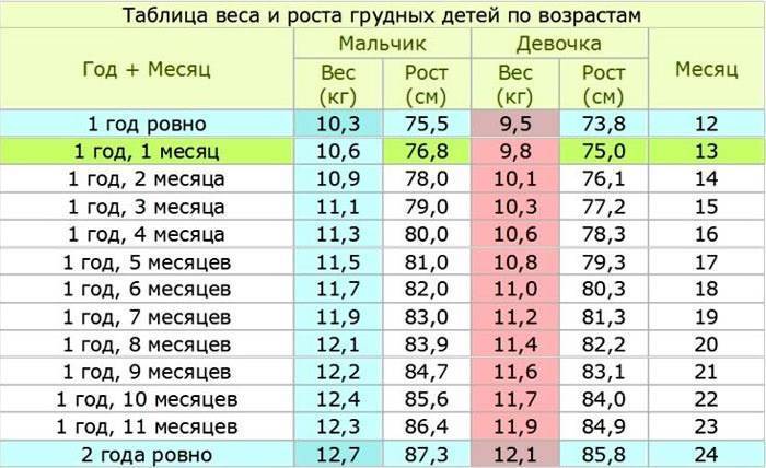 Развитие ребенка от 6 месяцев до года - режим, вес, умения - agulife.ru - agulife.ru