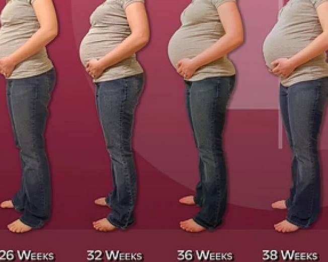 На какой неделе беременности начинает расти живот? в каком месяце появляется округлость на животике у худеньких и большая – у полных? особенности при первой и повторной беременностях