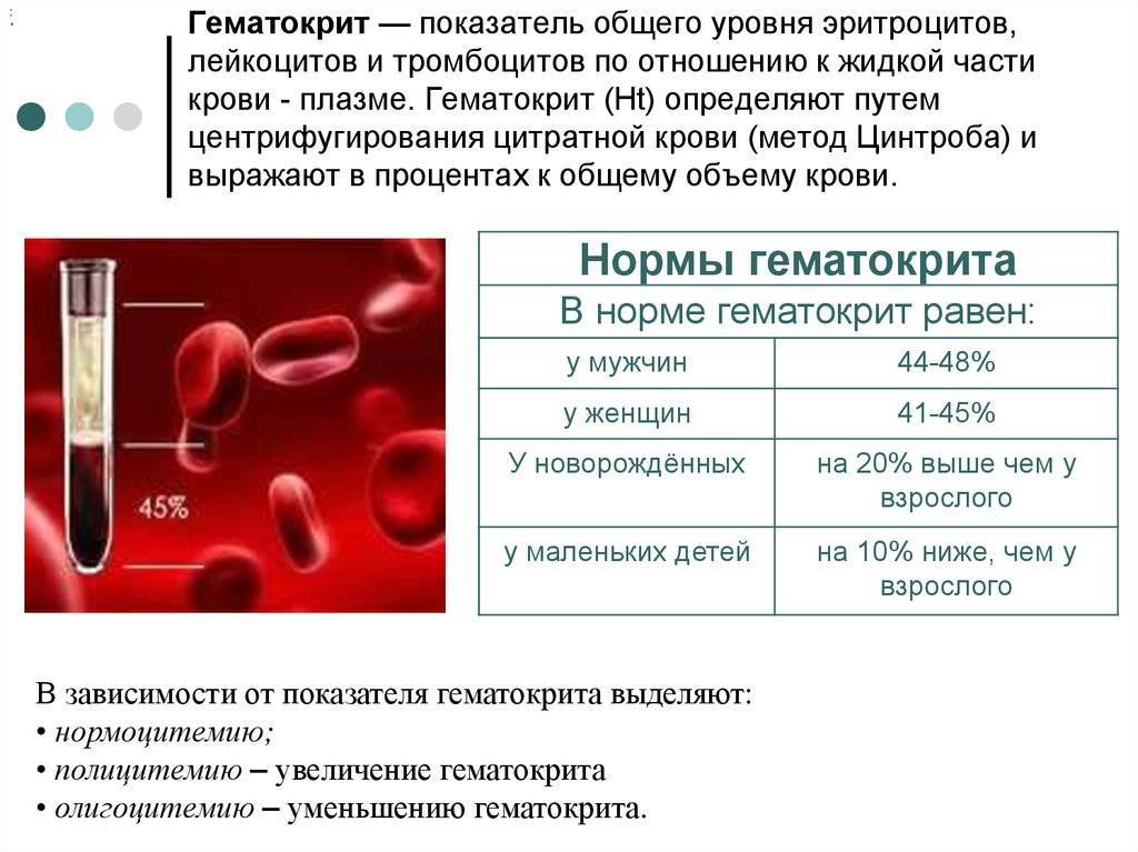 Повышенный гематокрит в крови у ребенка