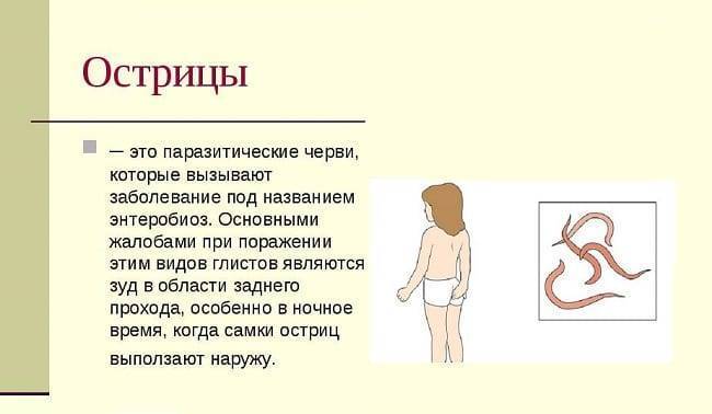 Комаровский про глистов у детей: симптомы, лечение и профилактика, видео