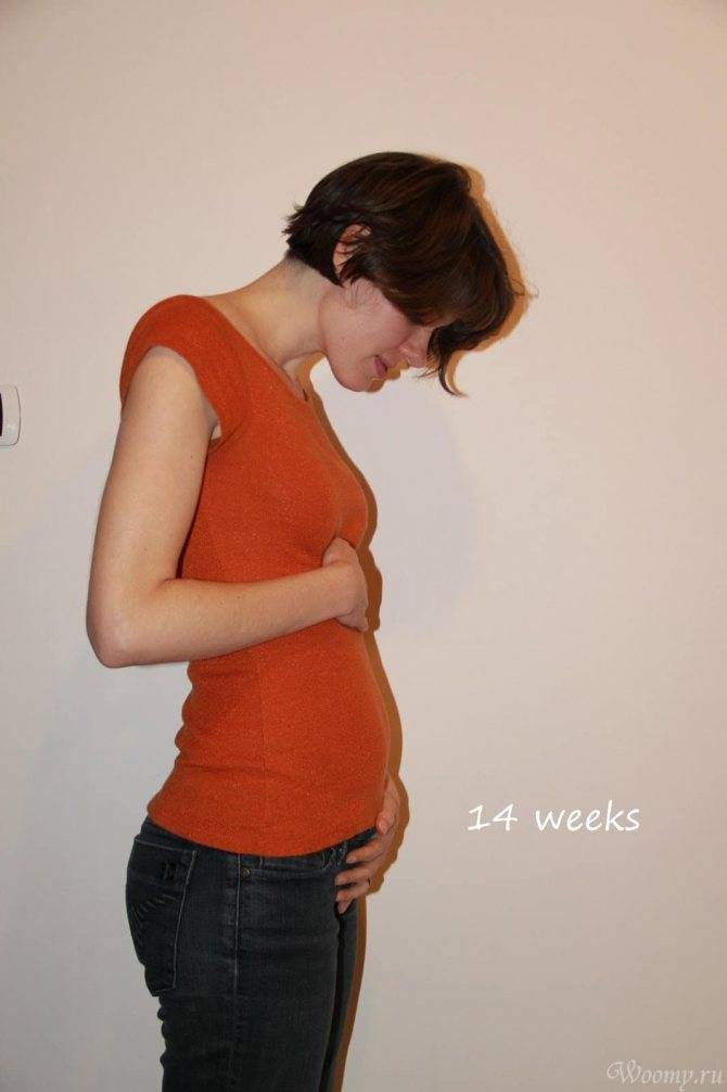 Четвертый месяц беременности