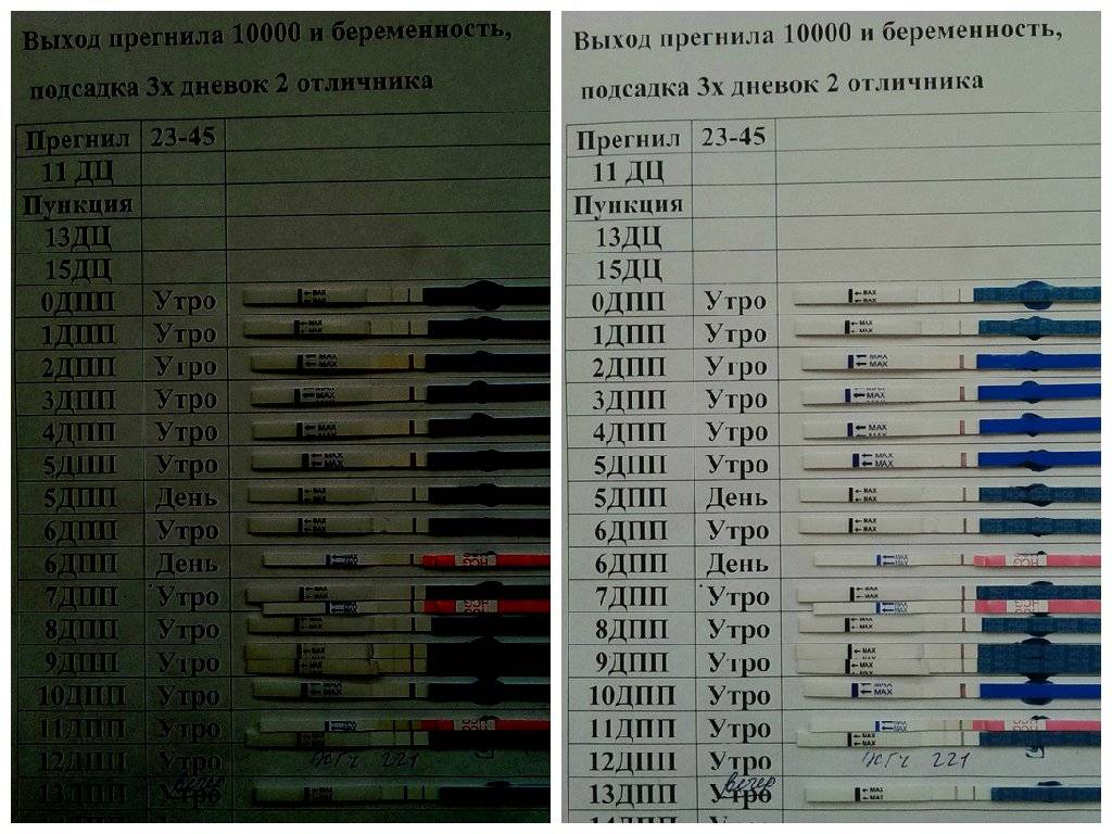 Декапептил после переноса эмбрионов. Тест на беременность после переноса 5. Тесты на беременность после переноса эмбрионов 5. Тест на беременность на 7 день после переноса эмбрионов. Тесты после подсадки эмбрионов.