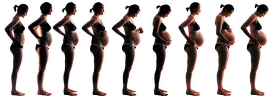 Седьмой месяц беременности   | материнство - беременность, роды, питание, воспитание