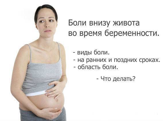 Боль внизу живота во время беременности - причины, диагностика и лечение :: polismed.com