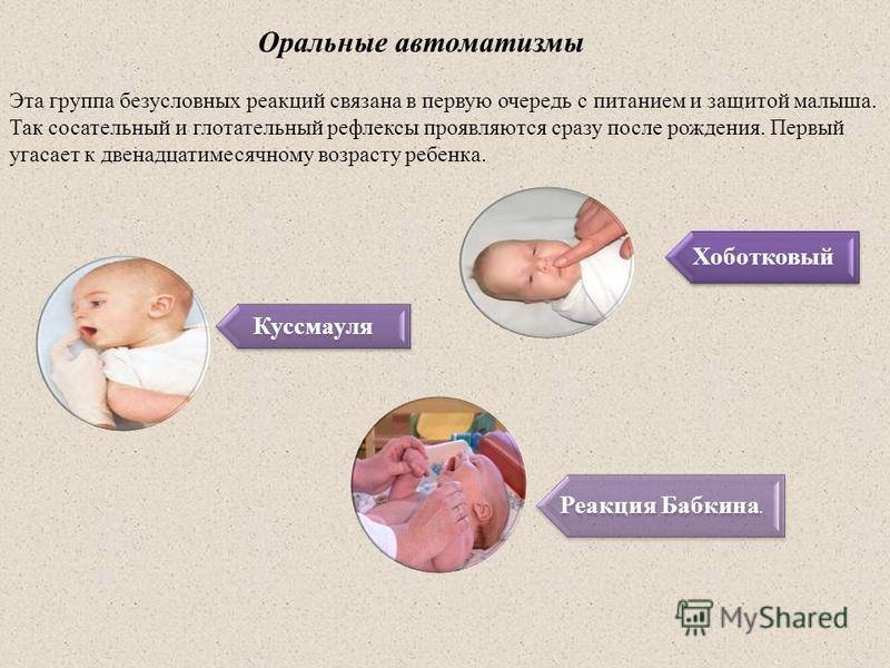 Dixion-healthcare - календарь развития новорожденного ребенка